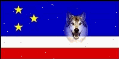 Флаг гагаузов с волком. Республика Гагаузия флаг. Гагаузия волк.
